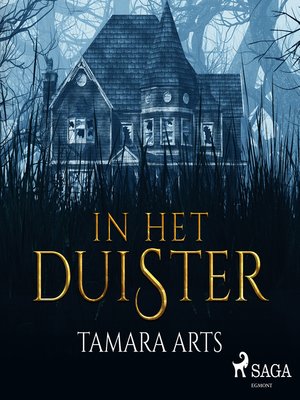 cover image of In het duister